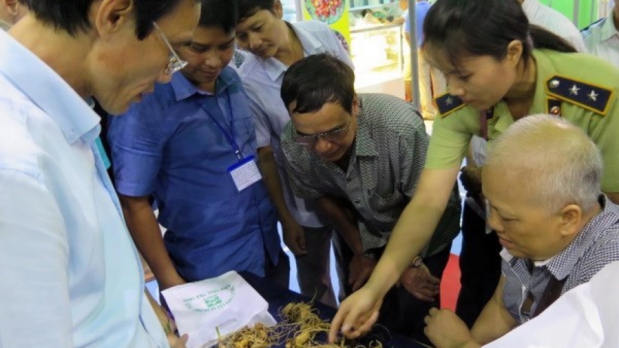 Second Ngoc Linh ginseng festival opens in Quang Nam