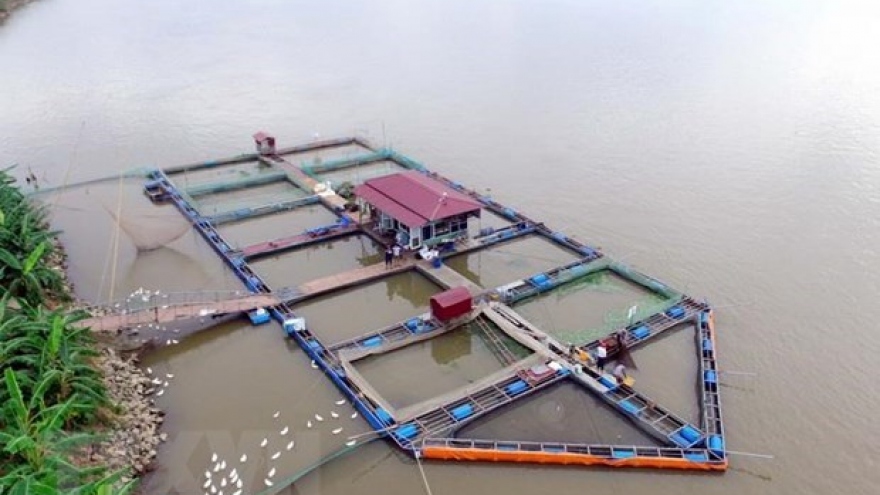 Seminar discusses managing water resources in Vietnam