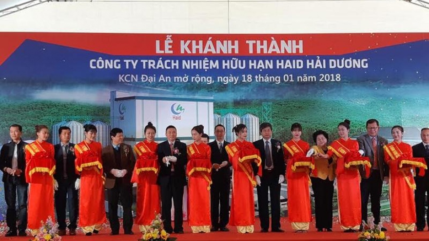 First Singapore-invested animal feed plant in Hai Duong