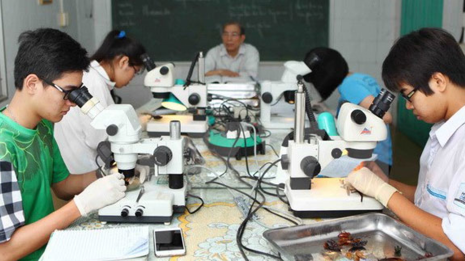 All Vietnamese student contestants awarded at Int’l Biology Olympiad