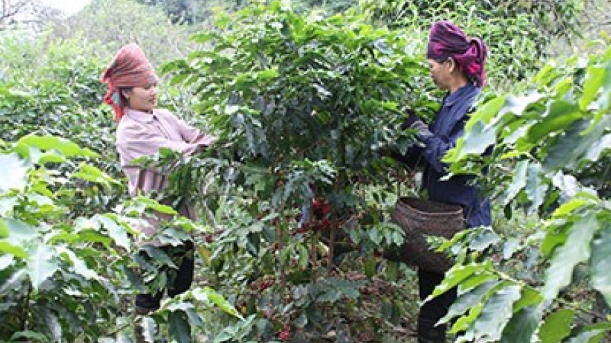 Australia funds project to raise economic rights of ethnic minority women