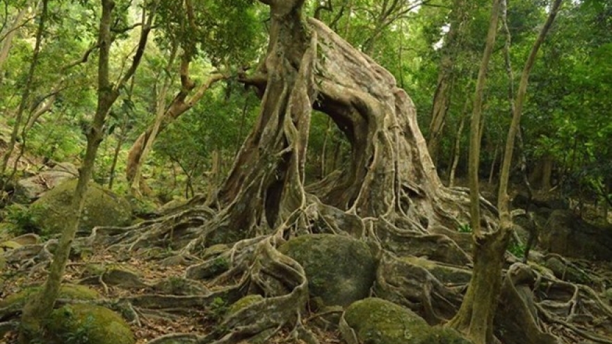 Project fosters natural resource management, biodiversity conservation