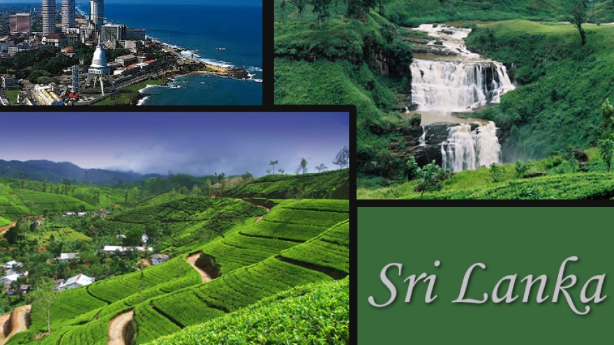 Sri Lanka, Vietnam's advantages to step up bilateral ties