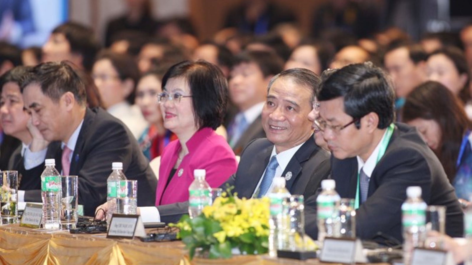 APEC 2017: Startups face numerous difficulties, says VBS delegate