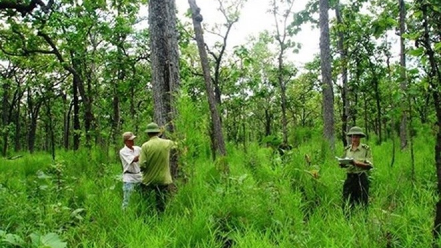 State-owned agriculture, forestry farm land needs stricter control