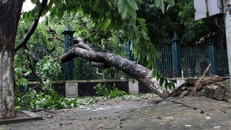 Storm Talas weakens after sweeping through Central Vietnam