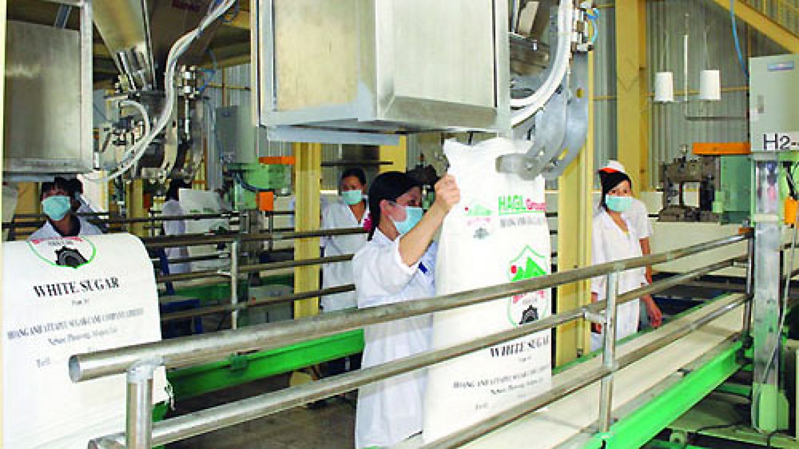 Sugar millers attempt to manipulate prices, pocket millions