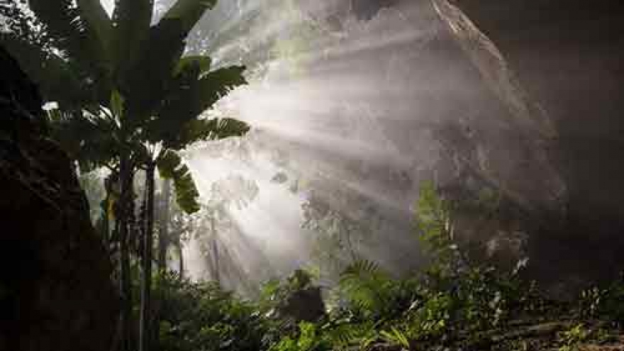 
        360 tourists book adventure tour of Son Doong Cave
                              