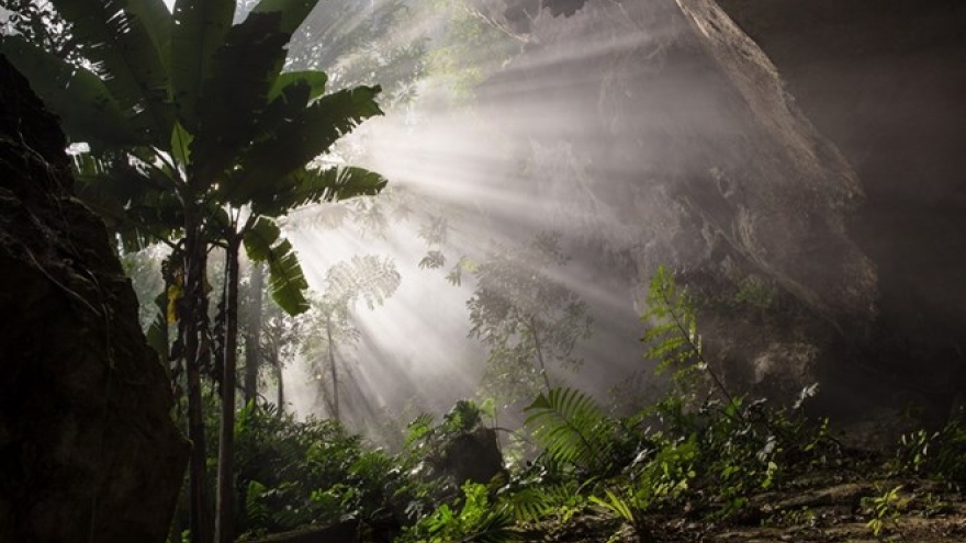 Son Doong Cave nominated for world record