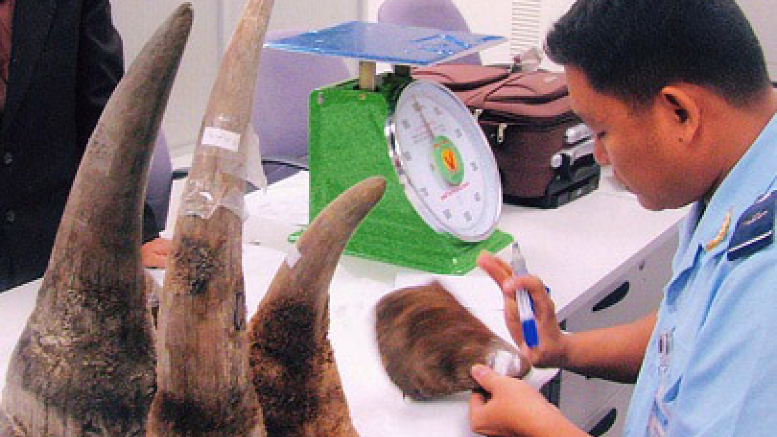Police in southern Vietnam charge 3 for rhino horn smuggling