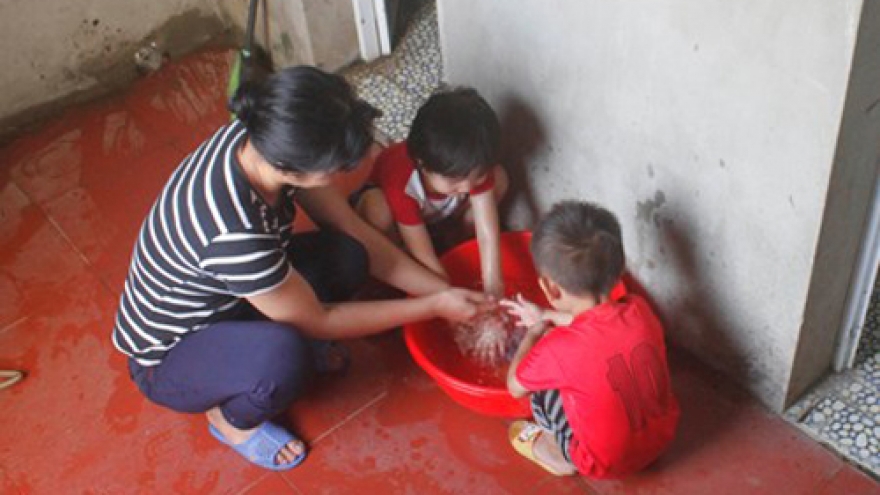 Over 11,000 households in Dong Thap benefit from CHOBA programme