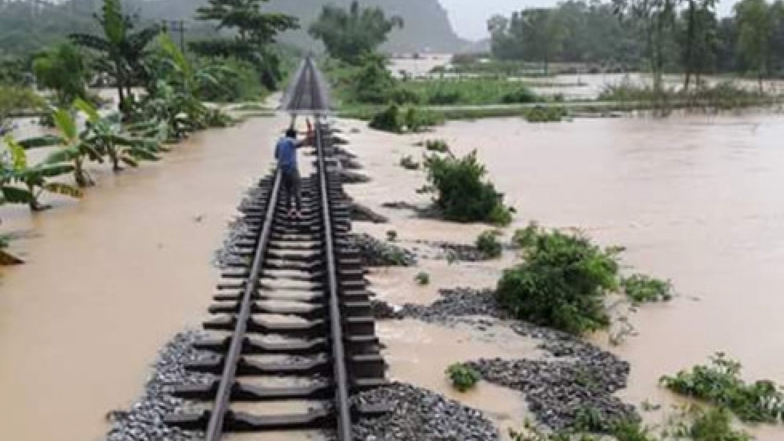 Trains cancelled as Talas wreaks havoc for commuters