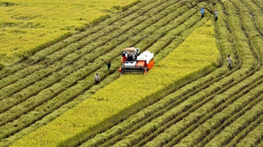 Mekong Delta forges connectivity for stronger development