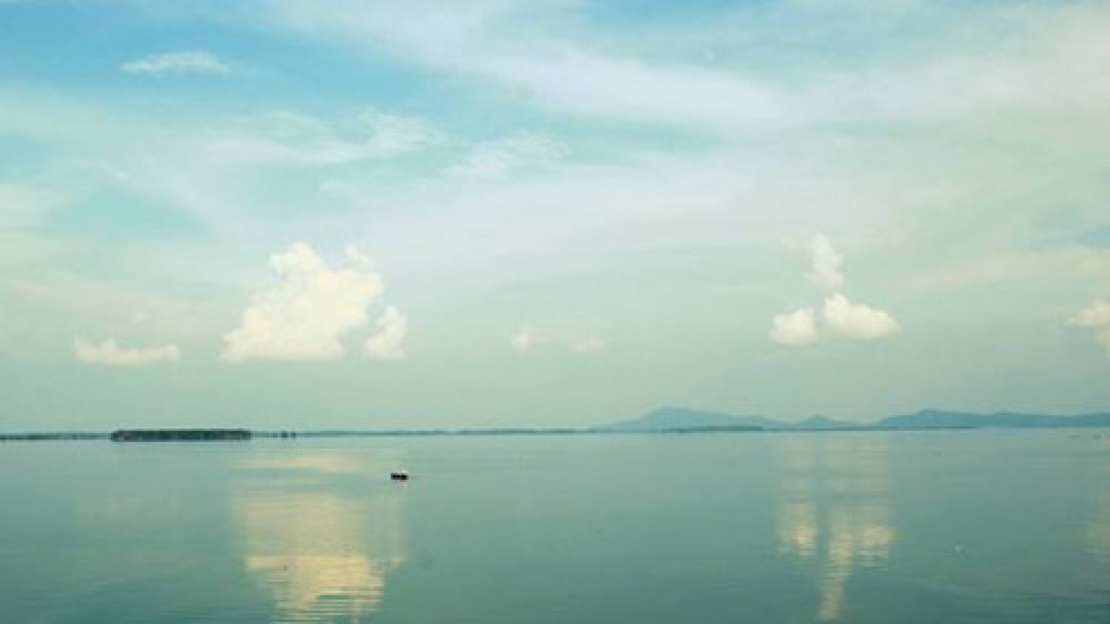 Tay Ninh moves wild monkeys to National Park