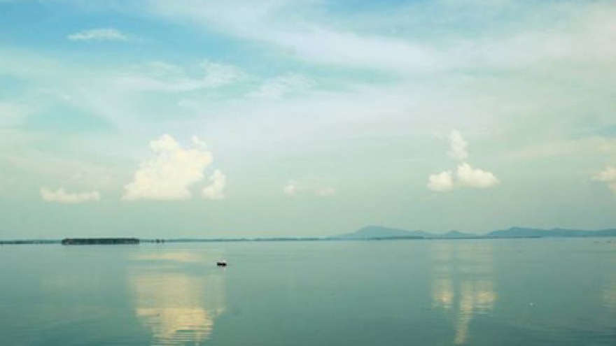 Tay Ninh moves wild monkeys to National Park