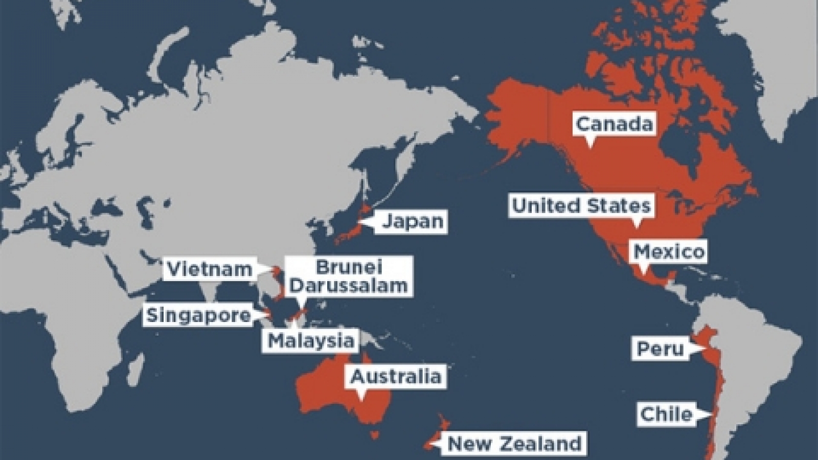 TPP to drive manufacturing