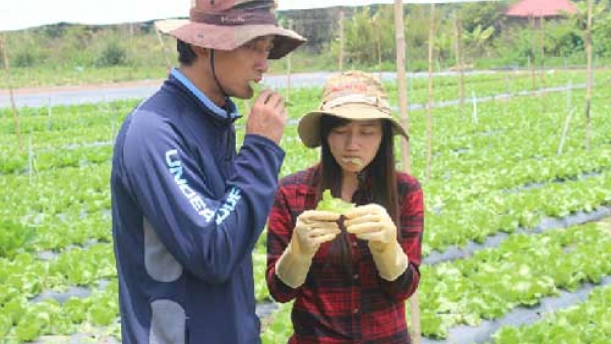 Daring foreigners taking over Vietnam agriculture