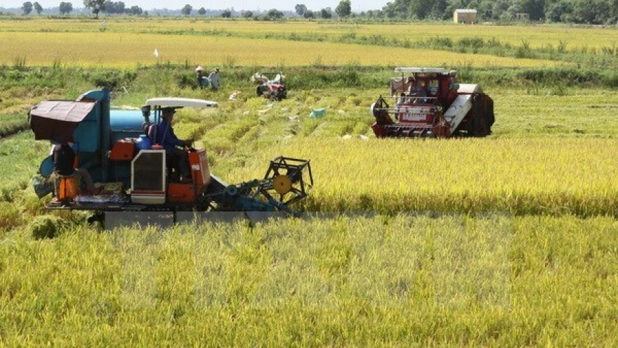 
        Responsive activities to climate change in agriculture
                                  
              