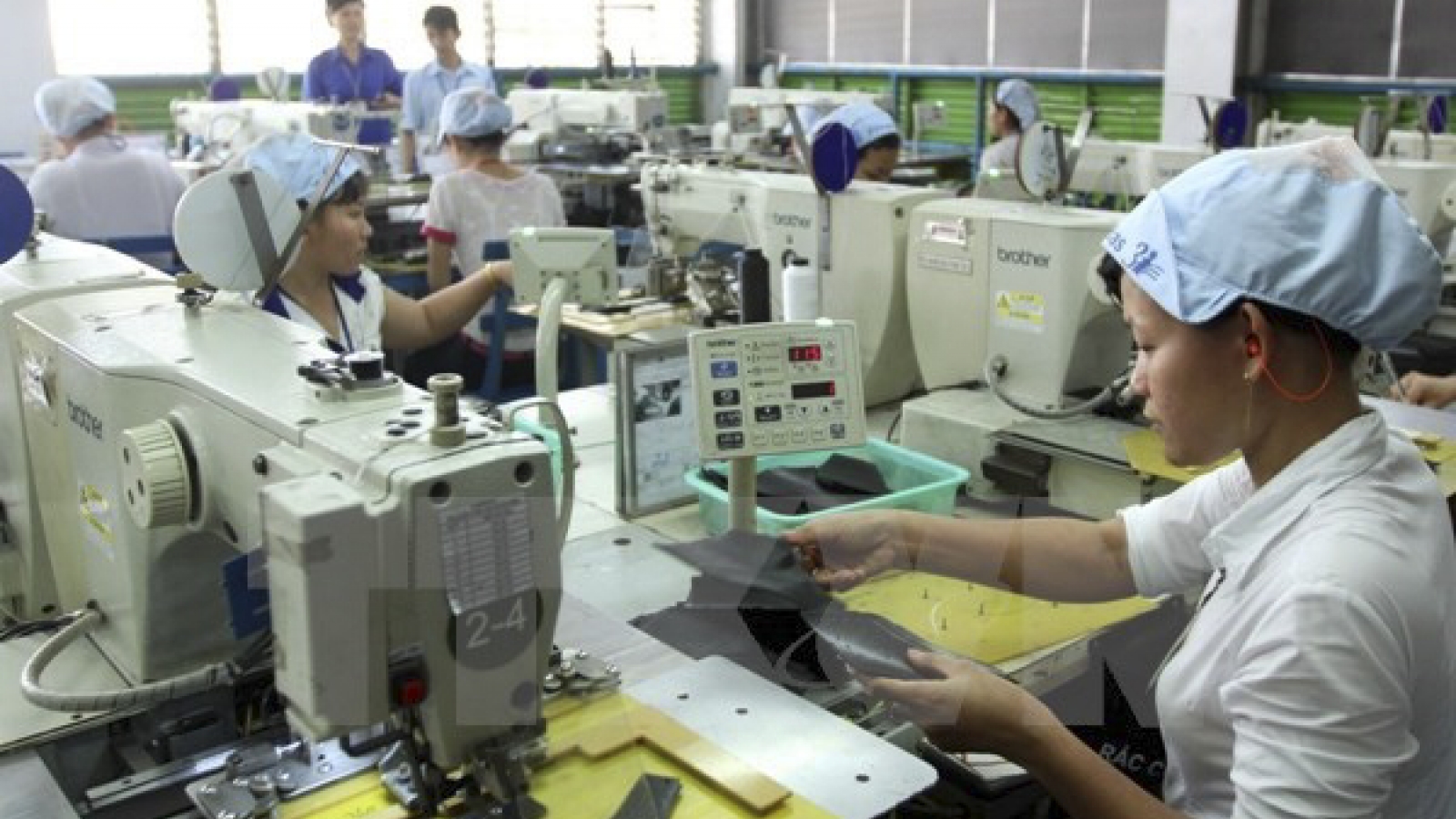 Vietnam, Mexico trade flourishes