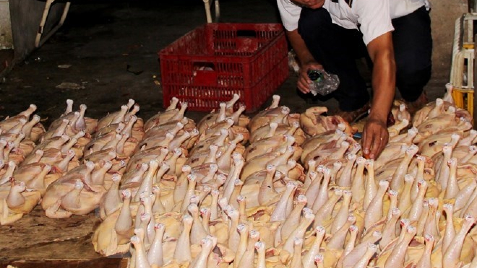 Due attention needed for food safety management
