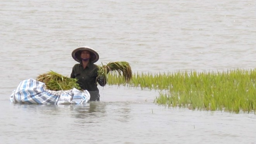 PM approves financial assistance to storm-hit northern provinces