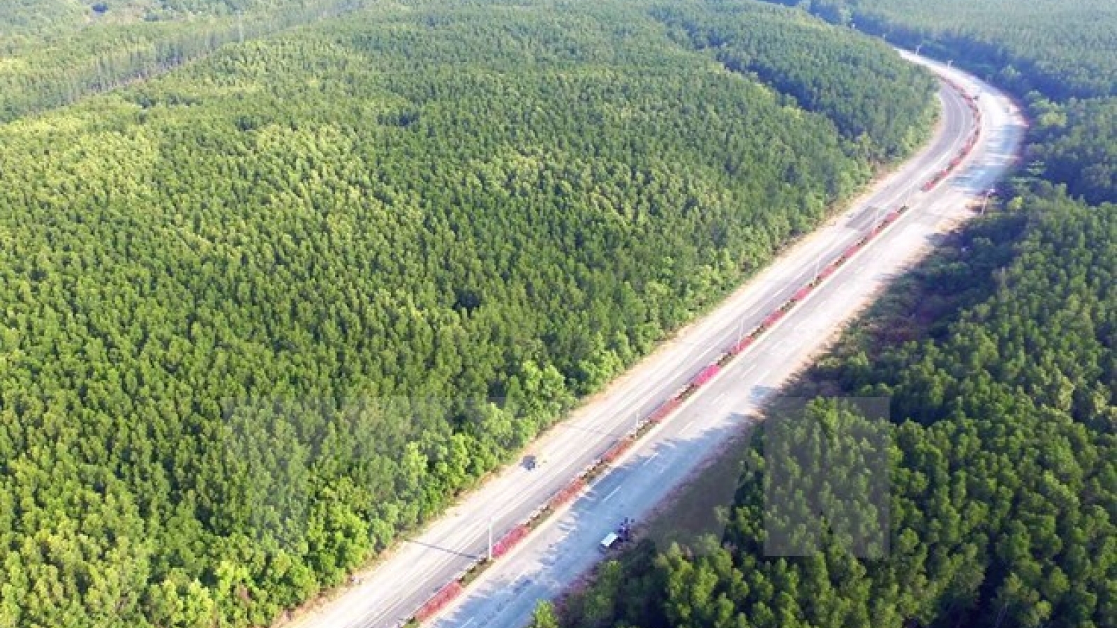 Vietnam has over 14 million hectares of forest: ministry