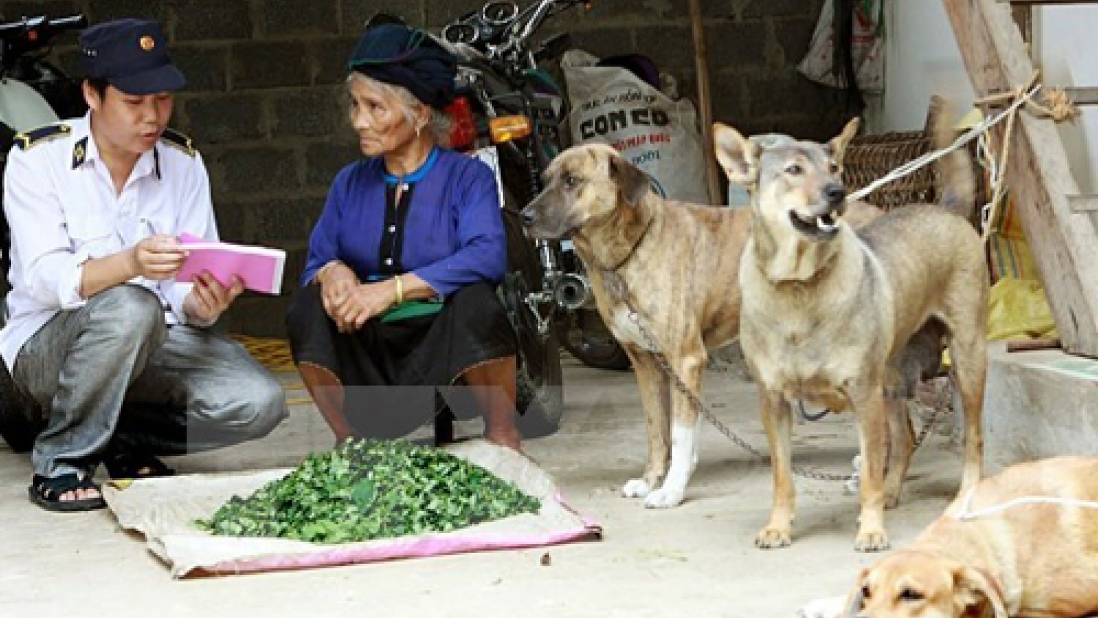 Hanoi responds to World Rabies Day