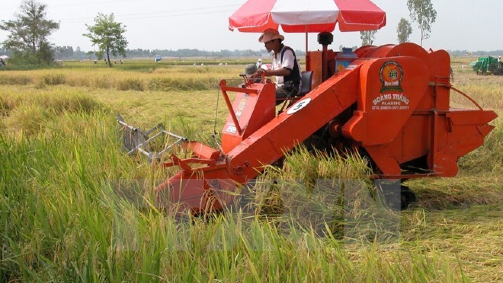 Hanoi to meet new style rural commune goals