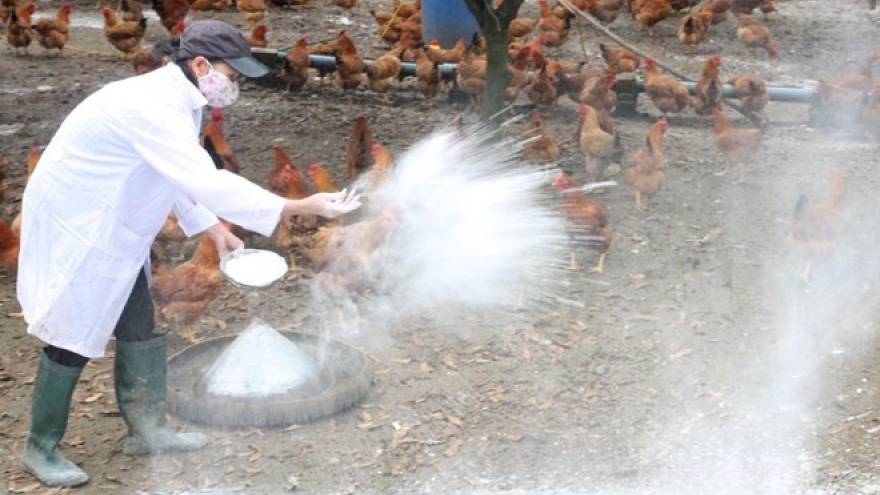 Bird flu outbreaks in neighbouring nations prompt action