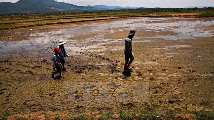 Vietnam at risk of sea desertification