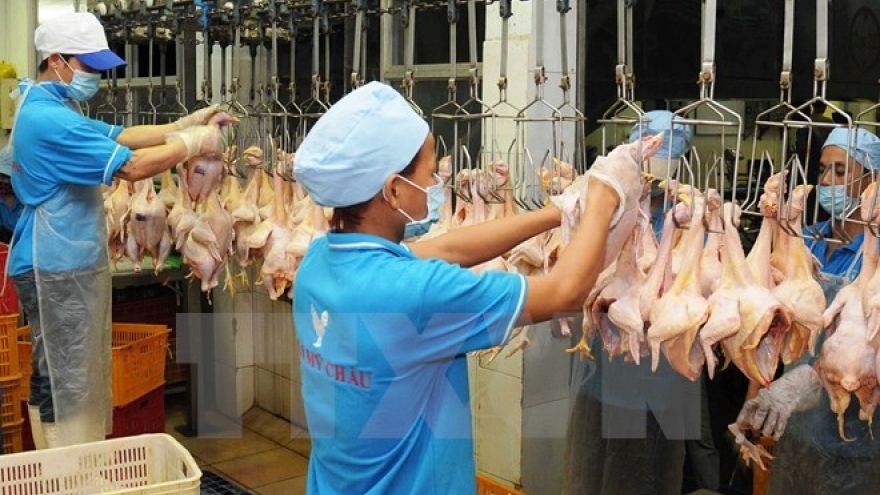 First batch of Vietnam poultry products to be sold in Japan