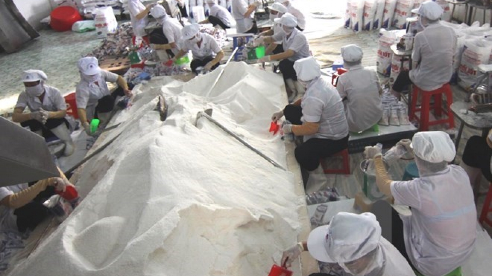 Salt from central region proved safe for consumption
