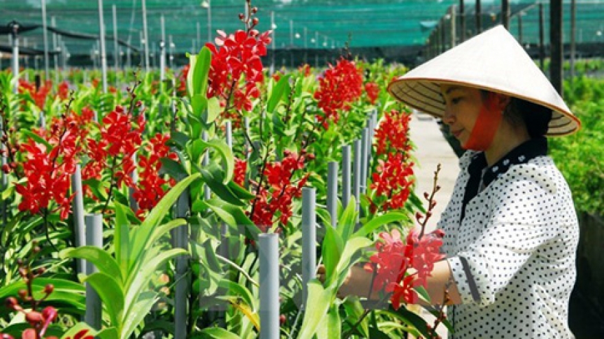 Outstanding farmers to be honoured