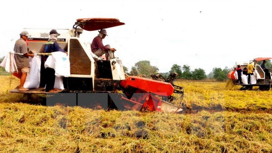 Hau Giang seeks investment in hi-tech agriculture