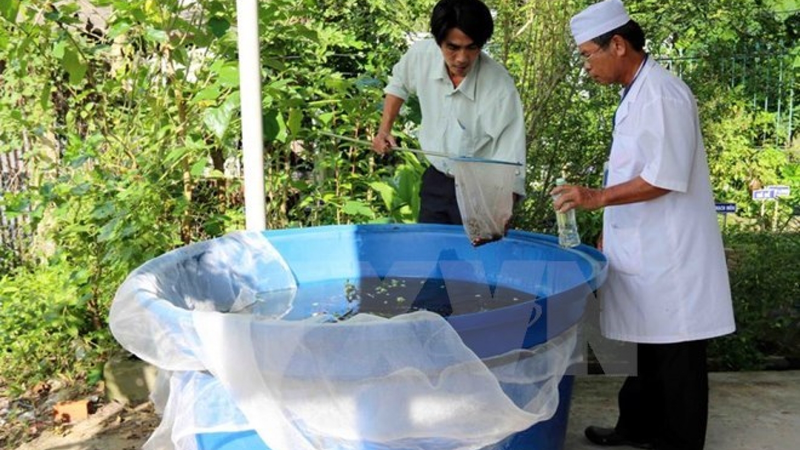 Binh Duong increases prevention of dengue fever