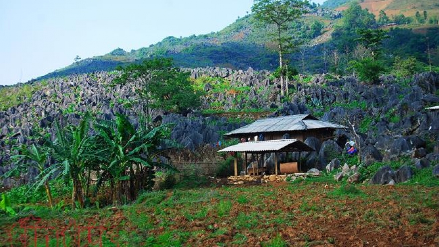 Tua Chua Karst Plateau scenic drive