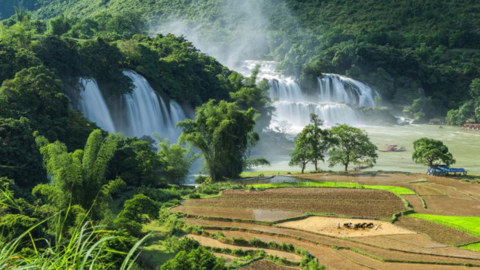 Tokyo photo exhibition reveals Vietnam’s splendid beauty