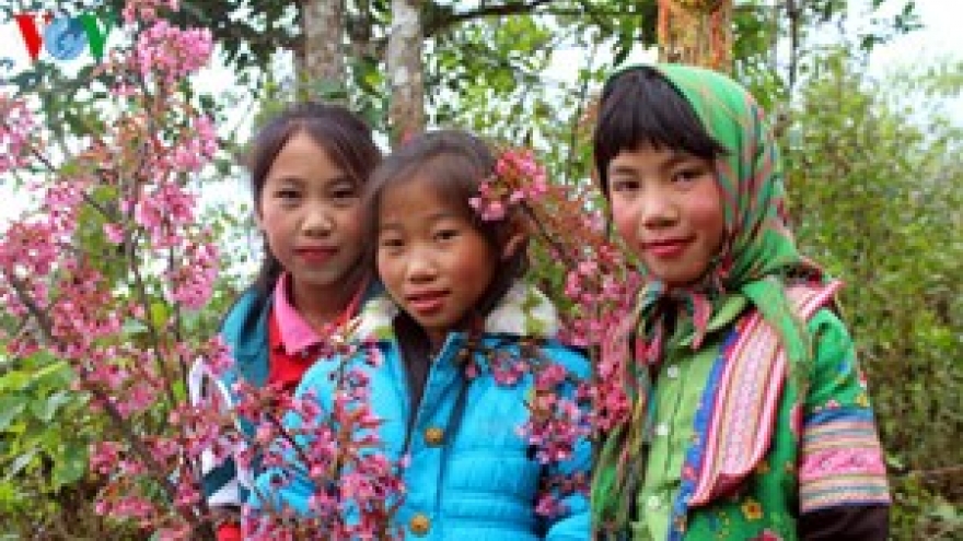 Spring flowers blossoming in northwestern region