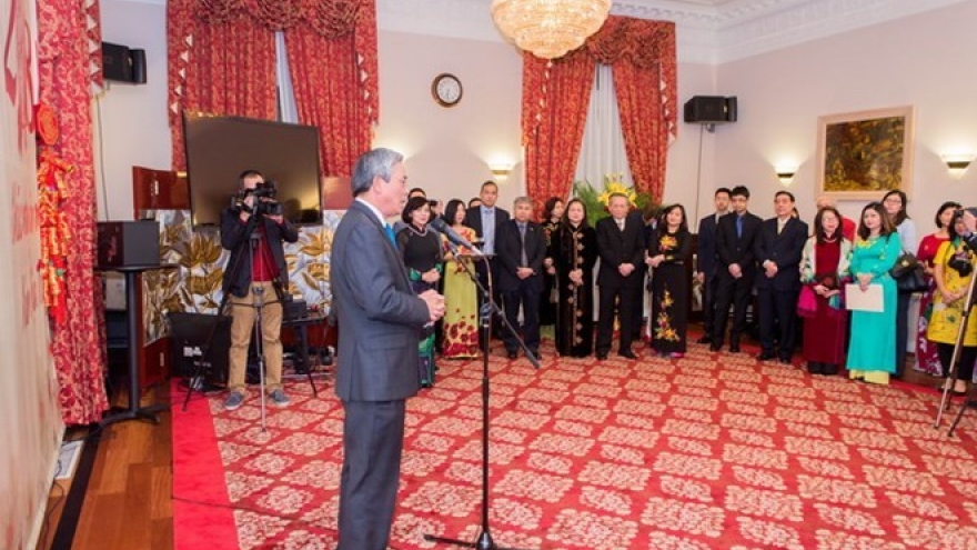 Vietnamese expats in US, UK celebrate Tet