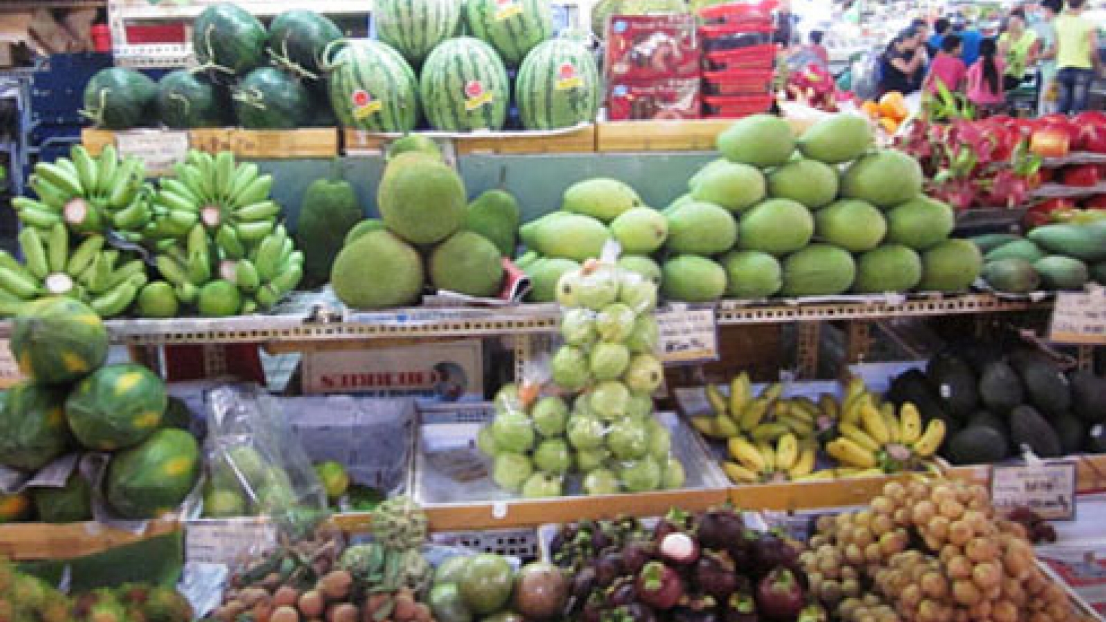 Thai fruit expand footprint across Vietnam