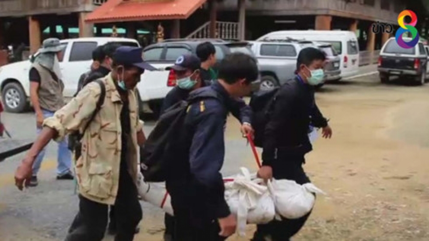 Forest Service officer shoots dead suspected illegal logger