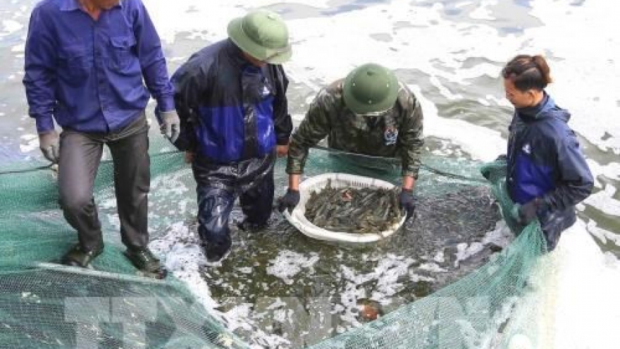 Thanh Hoa works towards removal of EC’s yellow card warning