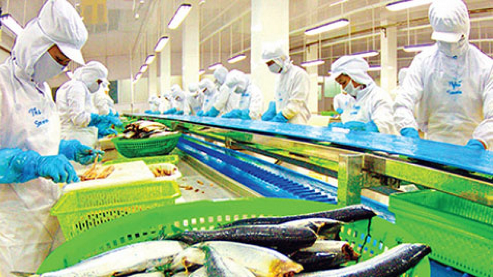 Seafood exporters antsy to make inroads into Russia