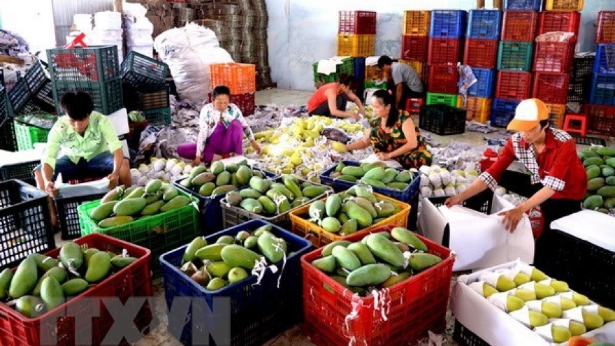 Tien Giang expands fruit production as prices rise