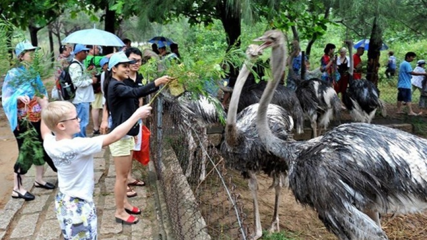Tour organisers offer attractive products for coming long holiday