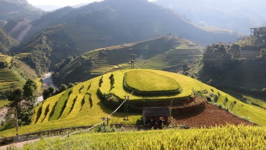 
        Tourism helps improve ethnic life in Mu Cang Chai
                              