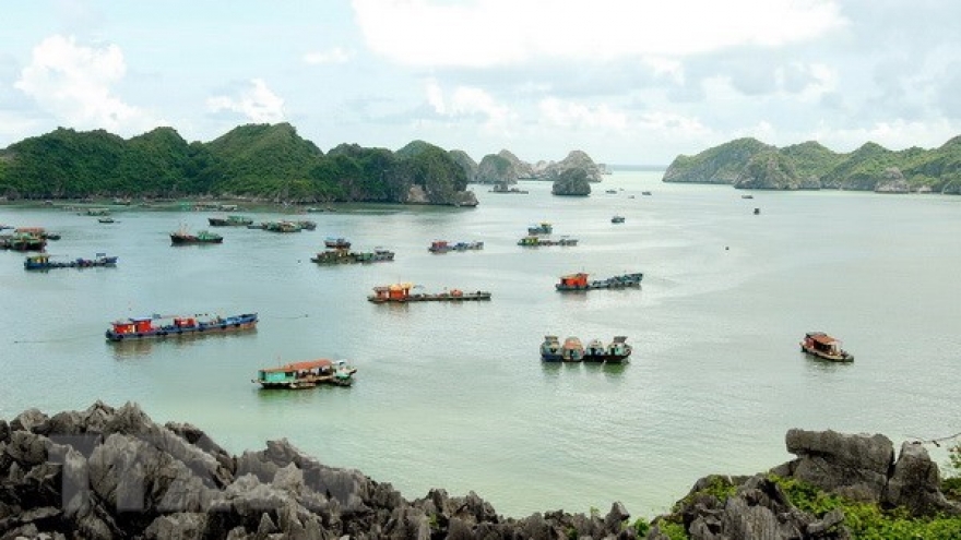 Hai Phong: Tourist arrivals surge 19.9% in seven months