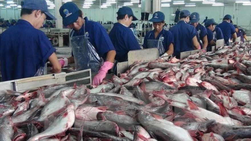 Tra fish export to China enjoys strong growth