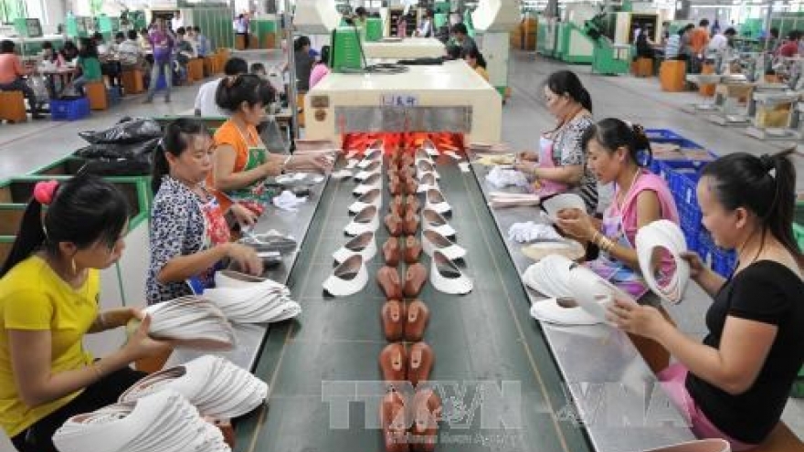 Tra Vinh attracts investment projects