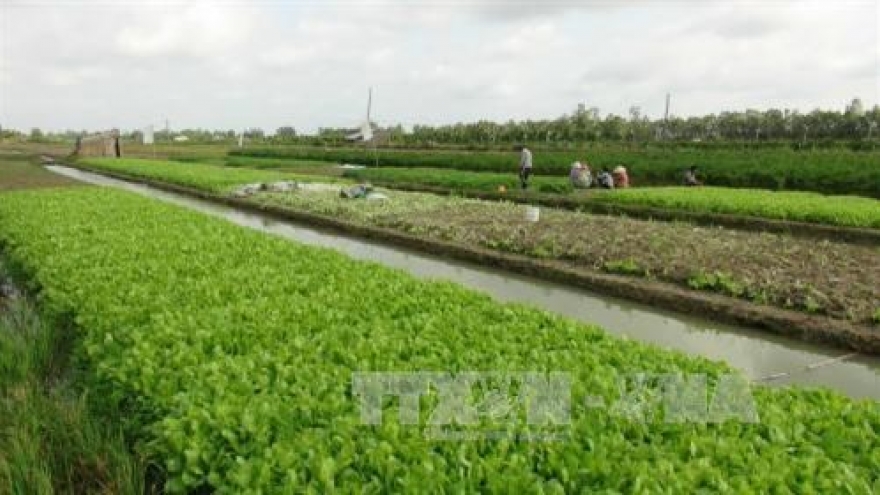 Tra Vinh calls for investment in agricultural projects